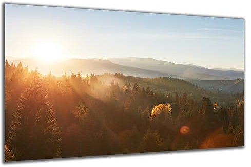 DARO Design - Wand-Bild auf 6mm HDF 70x50 cm Herbst-Wald Sonnenuntergang - Wand-Deko Bilder Geschenk
