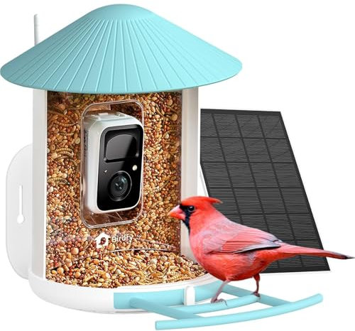 Netvue by Birdfy Vogelfutterhaus mit Kamera zur Live Vogelbeobachtung, 1080P HD Kabellos Futterstation mit Farbnachtsicht, Echtzeit Benachrichtigung, Automatisch Aufnahm bei Vogelbesuch, Solarbetrieb