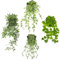 Zequech 4 plantas colgantes verdes simuladas en maceta, vaina de guisante de mandala, hiedra corta de eucalipto, terraza interior y exterior, oficina, decoración de boda al aire libre, paisaje