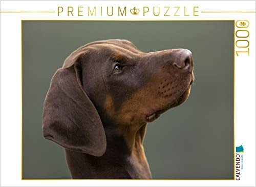 CALVENDO Puzzle Dobermann im Portrait 1000 Teile Puzzle quer | Lege-Größe cm Foto-Puzzle für glückliche Stunden