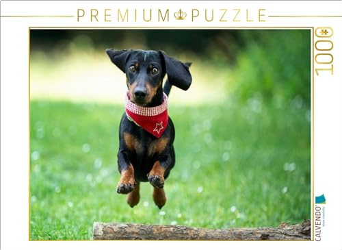 CALVENDO Puzzle Der Fliegende Dackel | 1000 Teile Lege-Größe 64 x 48 cm Foto-Puzzle für glückliche Stunden