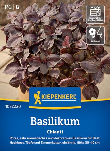 Kiepenkerl Basilikumsamen Chianti 1052220, Kräutersaat | Aromatisch, für Beet, Freiland & Topf