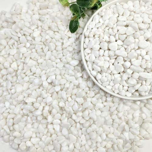 SHIZWU Garden Stones, White Gravel for Garden, Plant Pots, Fish Tank, Aquarium, Landscaping, Vase Fillers, Christmas Cactus and Succulents (6-9mm, 0.9kg)