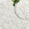 SHIZWU 2 livres de pierres blanches pour plantes d'intérieur, petites pierres de 9,5 mm pour plantes succulentes, cactus pot de fleurs, pierres polies naturelles, roches de rivière pour plantes, vases
