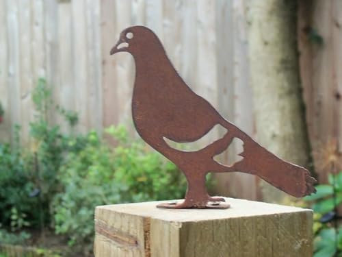 Really Raw Creations Rusty Metal PIGEON Bird Garden Ornament. Rustic Fence Post Topper. Metal Garden Pigeon Decoration. Rusted Steel Garden Art Gift.