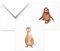 Dori´s Prints Geburtstagskarte Tiere 2er Set - Karte Faultier - Erdmännchen Glückwunschkarte zur Geburtstag - Witzige Geburtstagskarten Set mit Umschlag - Geburtstag Geburtstagsgeschenk Grußkarte
