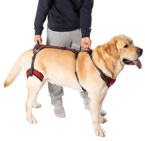 COODEO Hundehochheber-Gurtzeug zur Mobilität, Unterstützungsträger für Hunde, Hundegehensträger, Unterstützungsliftvest für die Hinterbeine von Haustiere, Hundetragehilfe für Arthritis（Rot,M）