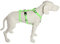 Feltmann No Exit ausbruchsicheres Hundegeschirr für Angsthund, Sicherheitsgeschirr für Pflegehunde, Panikgeschirr, Super Soft, neongrün, Bauchumfang 55-75 cm, 20 mm Bandbreite