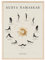 JUNOMI® Sonnengruß Poster 50x70 cm | Yoga Zubehör für Studios und Übungen Zuhause, Boho Deko, Yoga Deko, Yoga Übungen, Meditation | mit Rahmen Natur