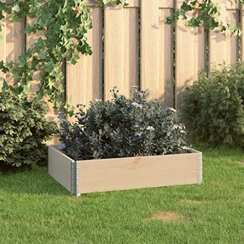 AJJHUUKI Home Outdoor Sonstiges Hochbeet 60x80 cm Kiefer Massivholz (310048)