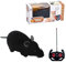 lopituwe Ferngesteuerte Ratten, lustiges elektronisches Katzenspielzeug für verspielte Katzen, Kunststoff Robotermaus, Katzenspielzeug, Haustiere, Katzen, Mäusespielzeug, Schwarz