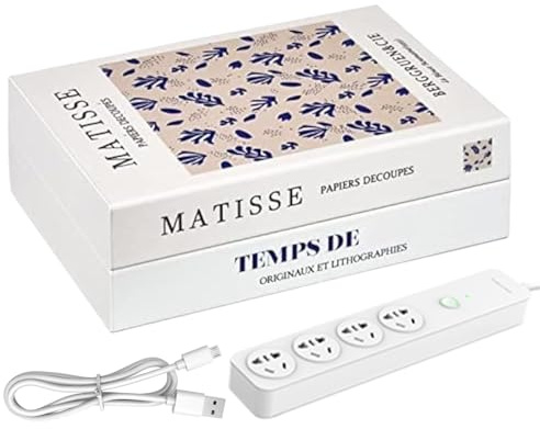 Boîte de gestion des cordons, organisateur de cordons en forme de livre, gestion des faux livres, boîte métallique pour câbles, boîte décorative extensible, rangement caché pour livres et livres