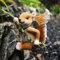 Uziqueif Garten eichhörnchen deko Figuren, Hänger deko eichhörnchen Figur, statuen gartendeko für draußen, Terasse Figur Für Balkon deko, Geschenk