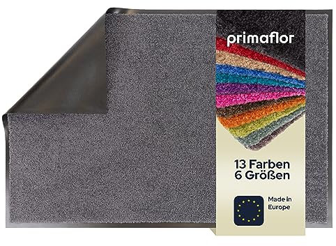 Primaflor Schmutzfangmatte CLEAN – Anthrazit, 60x90 cm | Saugstarke, Schwer entflammbare Fußmatte | Rutschfester Türvorleger für Innen | Türmatte für Eingangsbereich | Sauberlaufmatte mit Gummirand