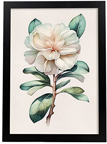 Nacnic Kamelie 1 Poster im nordischen Stil. Botanik Illustrationen mit Blumen und Pflanzen im Wasserfarbe. Innenarchitektur und Dekoration. A4 schwarzen Rahmen.