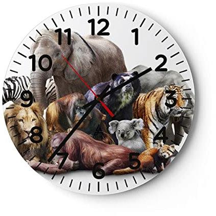 Modern Wanduhr Tiere Koala Löwe AFFE 40x40cm Rund Groß Wand Uhr Glas Analog Zimmeruhren Küche Büro Wohnzimmer Glasuhr Wall Clock Dekoration Design Wanddekoration Küchenuhr C4AR40x40-3166