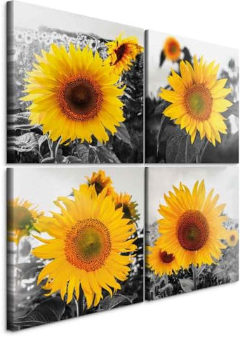 murando - Wandbilder Set Sonnenblumen 80x80 cm 4 Teilig je 40x40 Vlies Leinwandbild Kunstdruck modern Wandbilder XXL Wanddekoration Design Wand Bild mehrteilig - Natur gelb grau