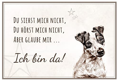 ZAUBERBILD Hundeschild Warnung | Jack Russel Terrier | Warnschild Vorsicht Hund | 25x17cm Alu