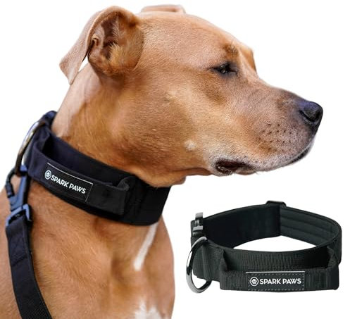Spark Paws Taktisches Hundehalsband – Robuste, Premium-Qualität, Dick und Langlebig für Große und Mittelgroße Hunde - Black - S: 16-25kg [5cm]