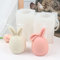 Gobesty Ostern Kaninchen Silikonform, 2 Stück 3D Osterhase Kerzenformen, Silikon Backform Ohren Hase Mousse Kuchenform Seifenform für DIY Seife, Kerzen, Keks, Schokoladenkuchen, Haus Dekoration