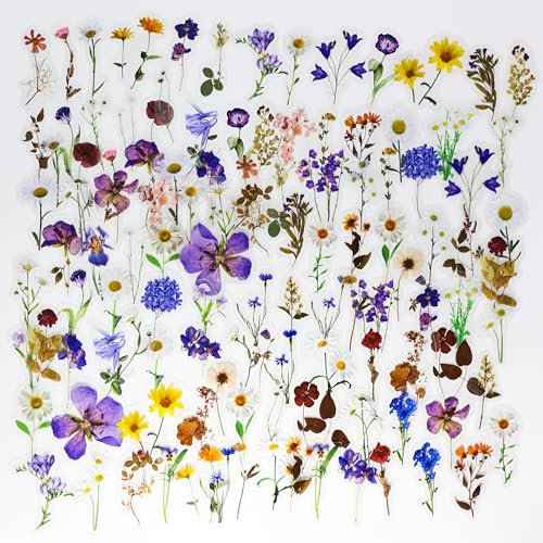 120Pcs Flower Stickers for Scrapbooking, Self-Adhesive Transparent Floral Stickers Scrapbook Journaling Supplies Aesthetic Wildflower Sticker for Card Making, Crafts, Water Bottle Decoration