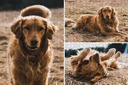 Foto Puzzle Personalisiert 1000 500 300 120 Teile für Erwachsene Jungen Mädchen Holzpuzzle,Puzzle mit eigenem Foto gestalten,ideal als persönliches Fotogeschenk