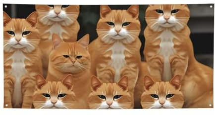 Orange Cats Banner Wandbehang Hintergrund Banner Große Party Banner Schild Poster Medium Party Hintergründe für Silvester Abschlussfeier Hochzeit Geburtstag Party Dekor