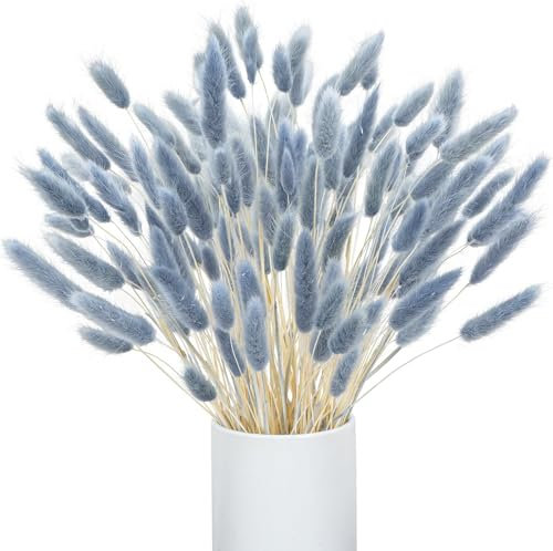 Barlone 120 Stück Pampasgras Klein, Hasenschwanzgras Getrocknet Pampasgras Deko, Pampas Gras Trockenblumen Graublau, Trockenblumen Klein Pampas Gras für Deko Wohnzimmer Hochzeit Tischdeko