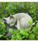 Statua del gatto addormentato | Decorazione da giardino in cemento con gattino in pietra ricostituita