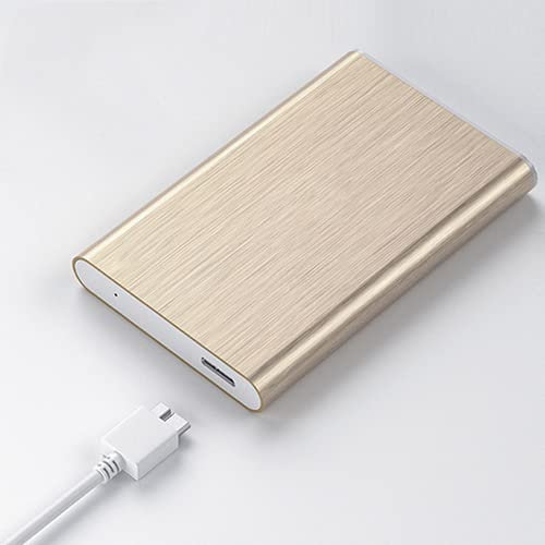 Hard disk esterno portatile HDD 1 Tb / 500 Gb / 250 Gb / 80 Gb / 2,5 pollici Usb3.0 memorizzazione dati, adatto per PC, desktop, laptop, MacBook, Xbox One, Ps4, Smart TV (80 GB, oro)