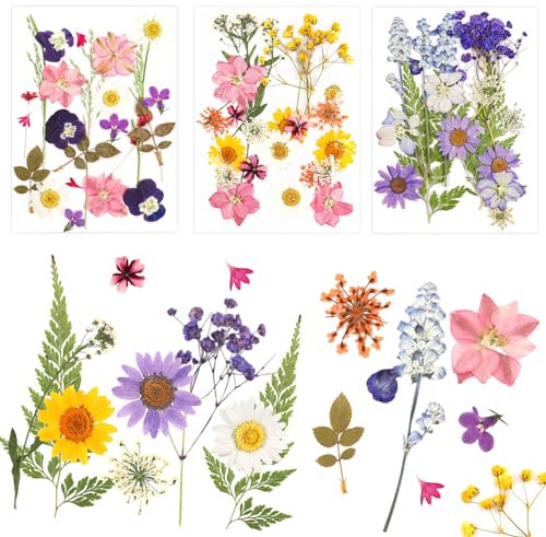 NVIYAM 66 Stück Natürliche Getrocknete Blumen für Seife/Epoxidharz Natürliche Getrocknete Gepresste Blumen Echt Getrocknete Gepresste Trockenblumen Trockenblumen für KerzenStück Getrocknete Blüten