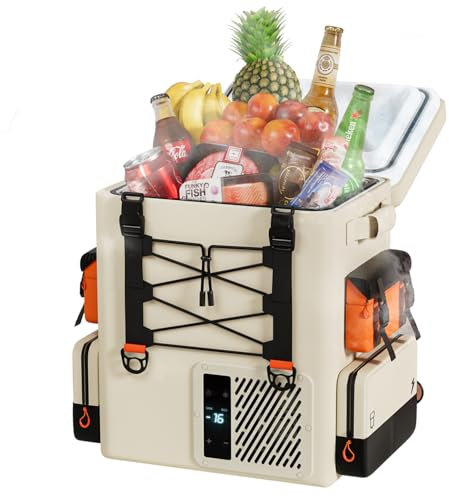 LiTHELi FrozenPack Kühlbox elektrisch 20V Kompressor-Kühlbox 20L, 12/24V DC 100/240V AC Rucksackkühlschrank für Camping, Reisen, Wohnmobil, schnelle Abkühlung in 15 Minuten (Ohne Akku)