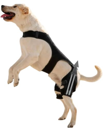 Gihioue Hunde Bein Orthese,Verstellbare Knie Bandage - Mit 4 Metall Stabilisatoren Zur Hüftunterstützung | Für Spaziergänge Wandern Training Park Reisen Zuhause