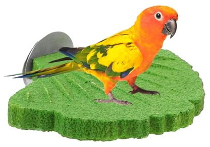 Bird Perch | Lovebirds Chewing, Parakeet Nail File Stick,for Macaw Pet Parents Animal Lovers Trainers Shelters Zoo Aviaries Study Living Room Bedroom Home Office
