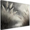 Feeby Bilder - Foto Geschenk - Gras Natur Botanik Grau - 120x80 cm XXL 1tlg - Leinwandbilder Wohnzimmer - Wandbild über dem Bett - Bild Schlafzimmer - Aesthetic Zimmer Deko - Modern Pictures