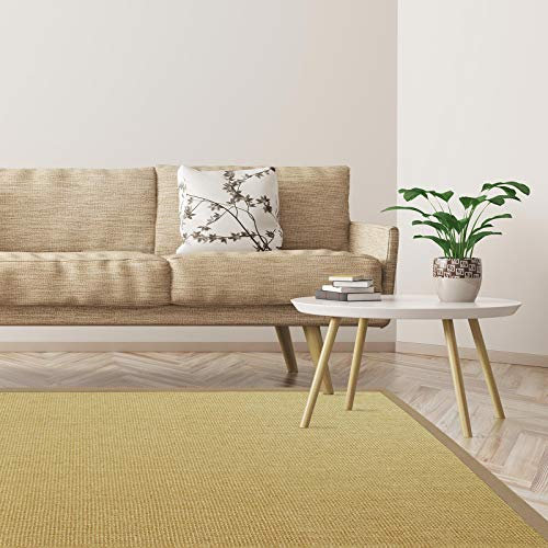 Floordirekt Premium Sisal-Teppich Amazonas | Natur | Mit verschiedenfarbigen Bordüren | 9 Größen | Wohnzimmerteppich, Naturfaserteppich (Creme, 160 x 230 cm)