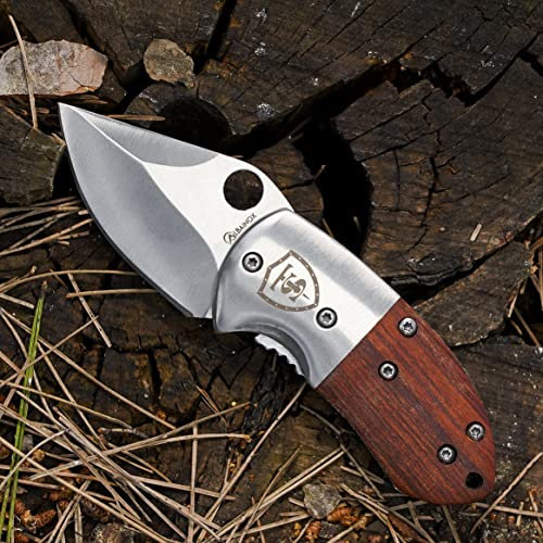 TS Knife FOX EYE 46cr petit couteau pliant de poche | Longueur de la lame: 46mm | Couteau pliant de poche | Lame d'acier inoxydable | Couteaux outdoor, randonnée, camping 18509