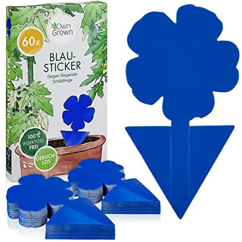 Autocollants Bleus Contre Les Thrips : 60x pièges adhésifs sans Insecticide pour Lutter Contre Les parasites des Plantes d'intérieur - Piège à Mouches OwnGrown