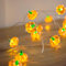 Lights4fun Indoor 20 Warm White Micro LED Battery Operated Autumn Halloween Pumpkin String Fairy Lights with Timer 2m