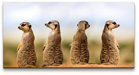 Paul Sinus Leinwandbild 120x60cm Erdmännchen Afrika lustige Tiere Süß Freunde