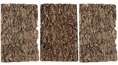 Alipis Set of 2 Natural Cork Bark Terrarium Backwalls – 100 x 50 cm Climbing Surface for Reptiles, Geckos, Bearded Dragons, Turtles, Spiders & Small Pets – Realistic Tree Bark Habitat Decoration