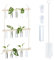Relaxdays Estación Propagación Esquejes, Propagador Plantas Colgante con Tubos Ensayo, 3 Niveles, Natural/Transparente, 86 x 35,5 x 4,5 cm
