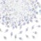 SOFPLATE 1 Box 200Pcs 6x12mm Clear Crystal Teardrop Bead Suncatcher Glass Beads Bulk Clear AB Transparent Tear Drop Chandelier Top Drilled Loose Spacer Bead for Jewellery Making Chandelier DIY Crafts