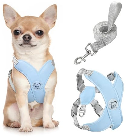 Pawaboo Arnés Perros con Correa, Arnes Tipo Chaleco para Perros Pequeños Medianos, Arnés Ajustable Antitirones Transpirable Acolchado de Forma X para Cachorros Gatos Caminar Entrenamiento, S, Azul