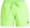 Quiksilver Boardshort Everyday Solid Volley 15 Homme Vert S