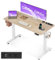OffiGo Höhenverstellbarer Schreibtisch, 120cm Schreibtisch Höhenverstellbar Elektrisch mit USB, Standing Desk mit 2 Memory Funktion, Elektrischer Tisch für Büro, Zuhause, Beige