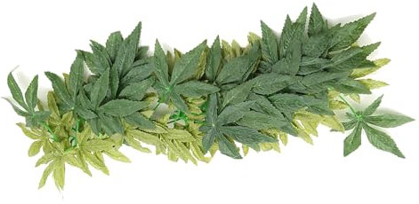 KIMISS Décoration Aquatique Réaliste – Plantes Artificielles pour Terrariums, Aquariums et Vivariums – Vignes de Lierre et Feuilles de Dracaena – Parfaites pour Les Habitats de Reptiles