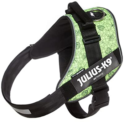Julius-K9, Arnés IDC Power, Tamaño: 3XL / 4, con Símbolos Positivos de Edad Hun