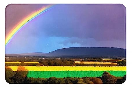 chenfandi Evening Rainbow Front Door Mat, 40 X 60 Cm Welcome Mat,%^ Non-Slip Front Door Mat, Indoor/Outdoor Welcome Mat
