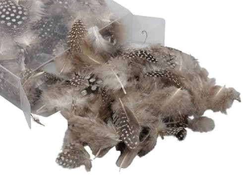 RiloStore 1 Pack Perlhuhnfedern Osterdeko Basteln Federn Perlhuhn Federn Deko Ostern Feder Hühnerfedern o787